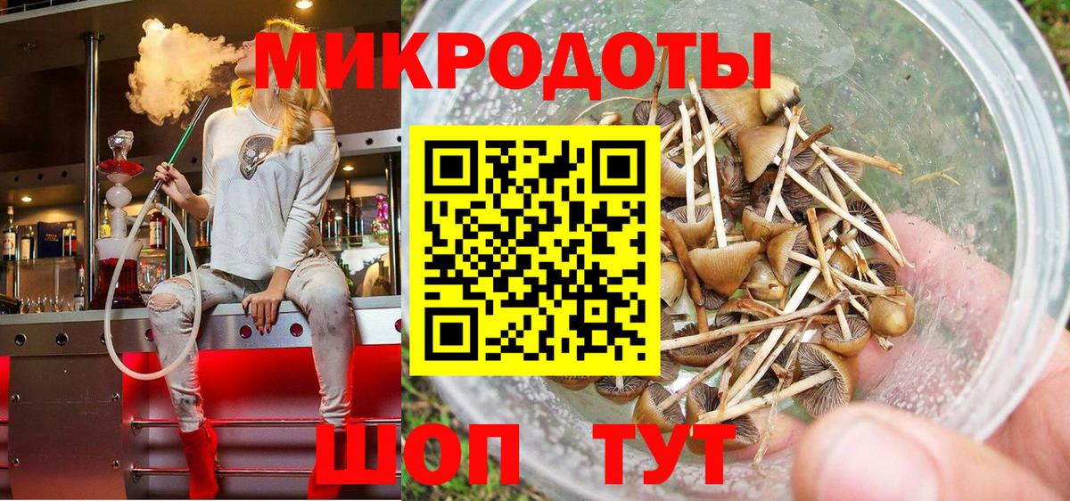 Петровск  Псилоцибиновые грибы прущие грибы  Псилоцибиновые грибы мухоморы  Вход с VPN 