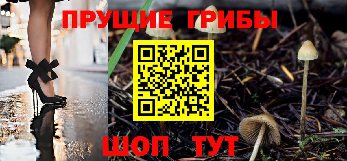 Псилоцибиновые грибы мухоморы Петровск